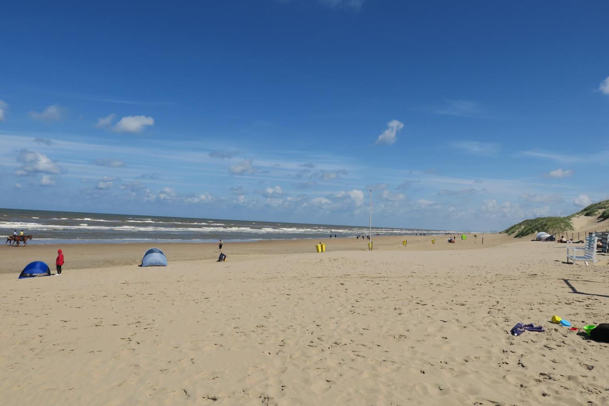 Beautifully Located Dune Villa Near Noordwijk Beach Екстер'єр фото