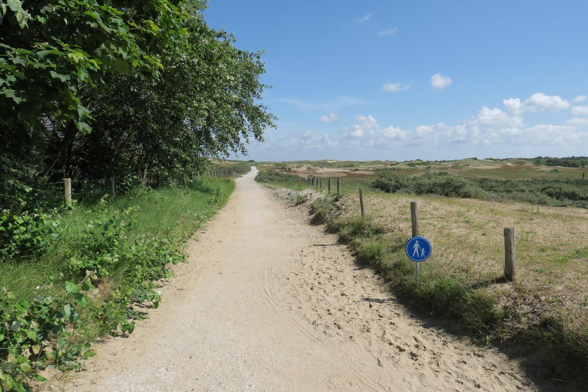 Beautifully Located Dune Villa Near Noordwijk Beach Екстер'єр фото
